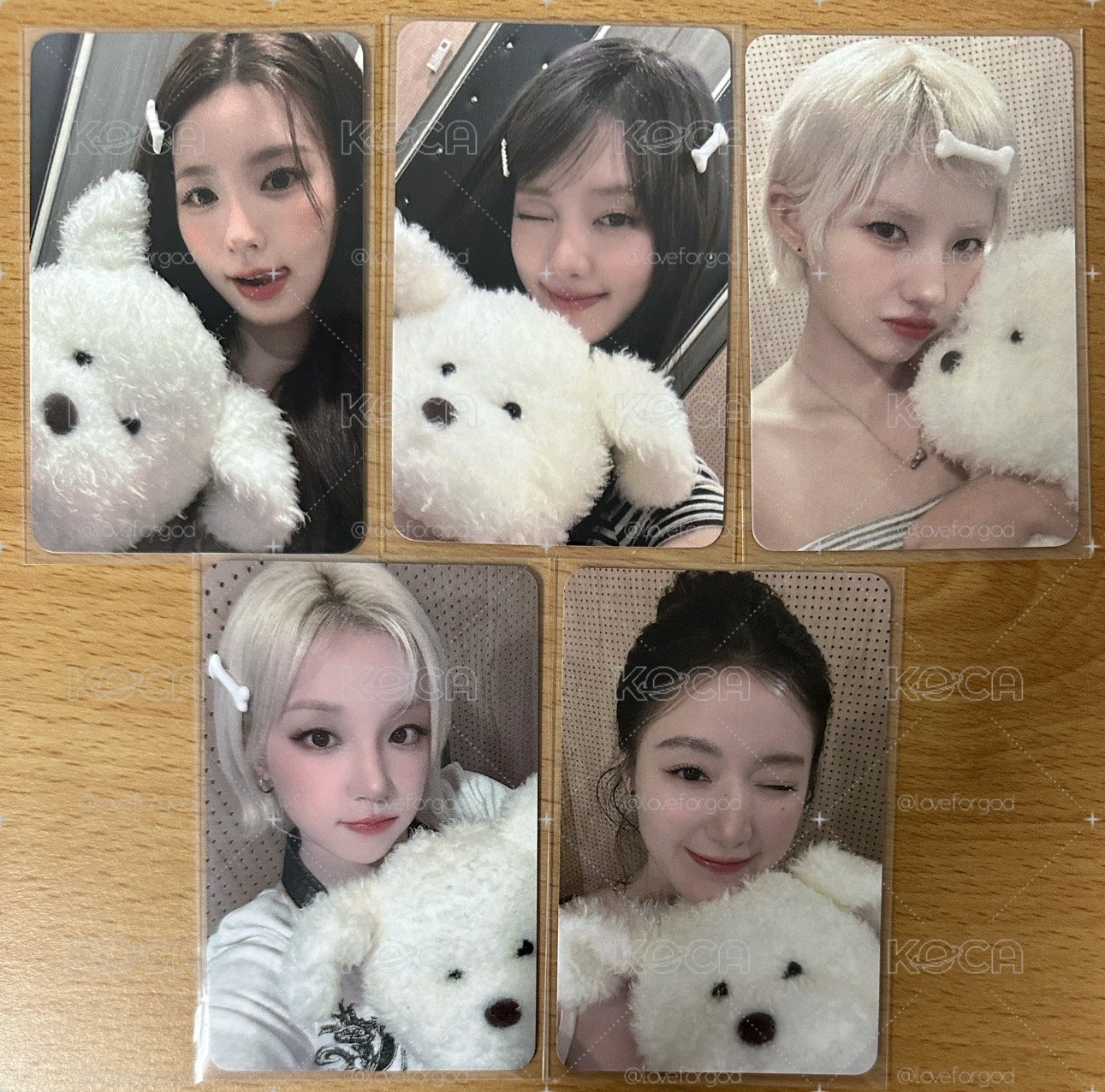 I-DLE hl2.0小狗