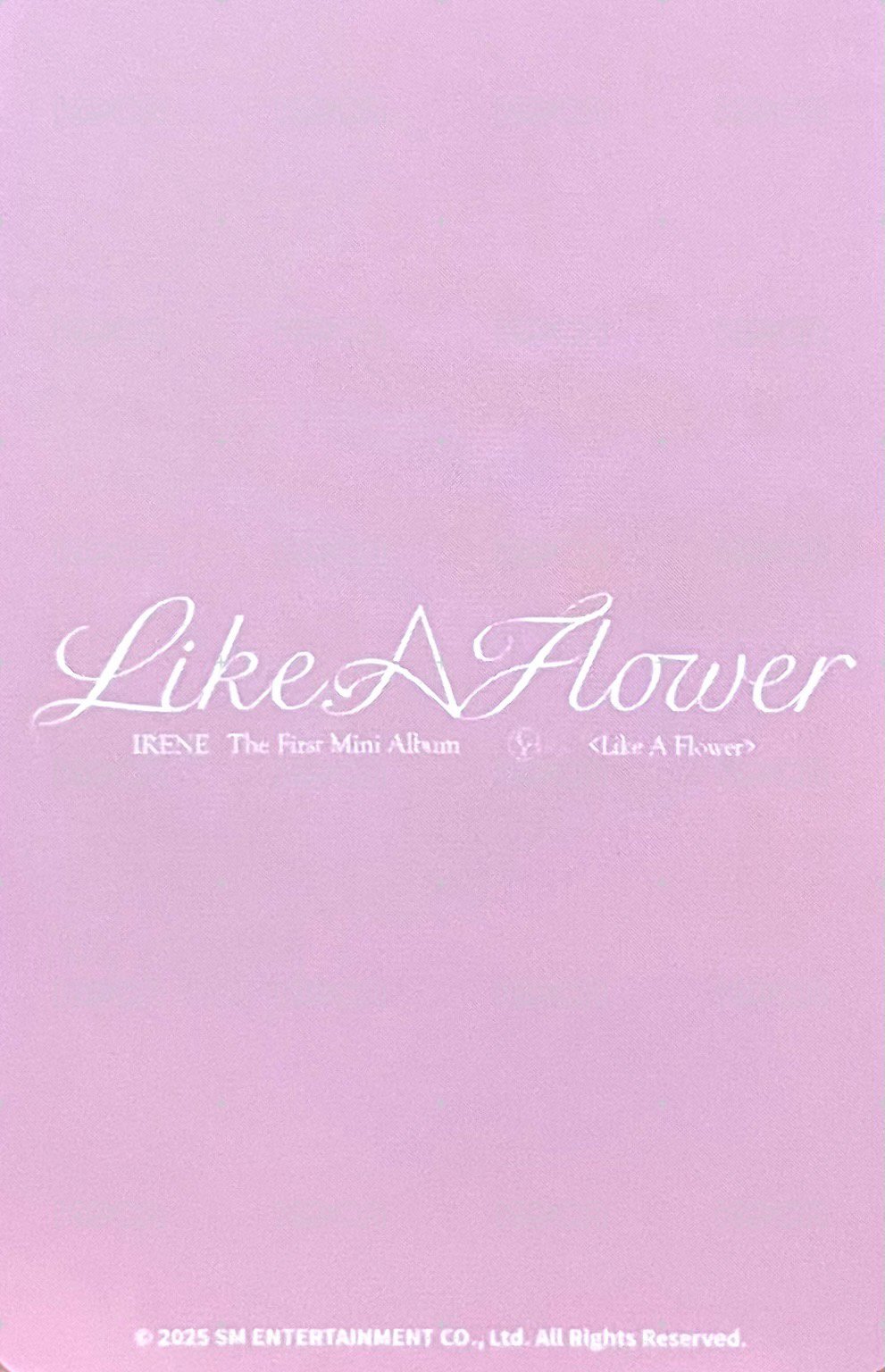 Like A Flower 周邊卡 地毯姐 背面