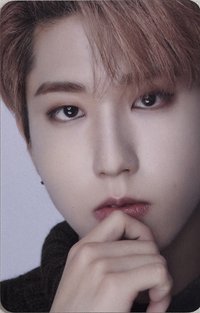 DICON D'FESTA 雜誌卡 