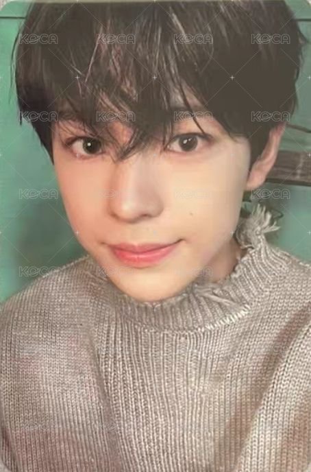 Steady 隨機卡 B版 正面