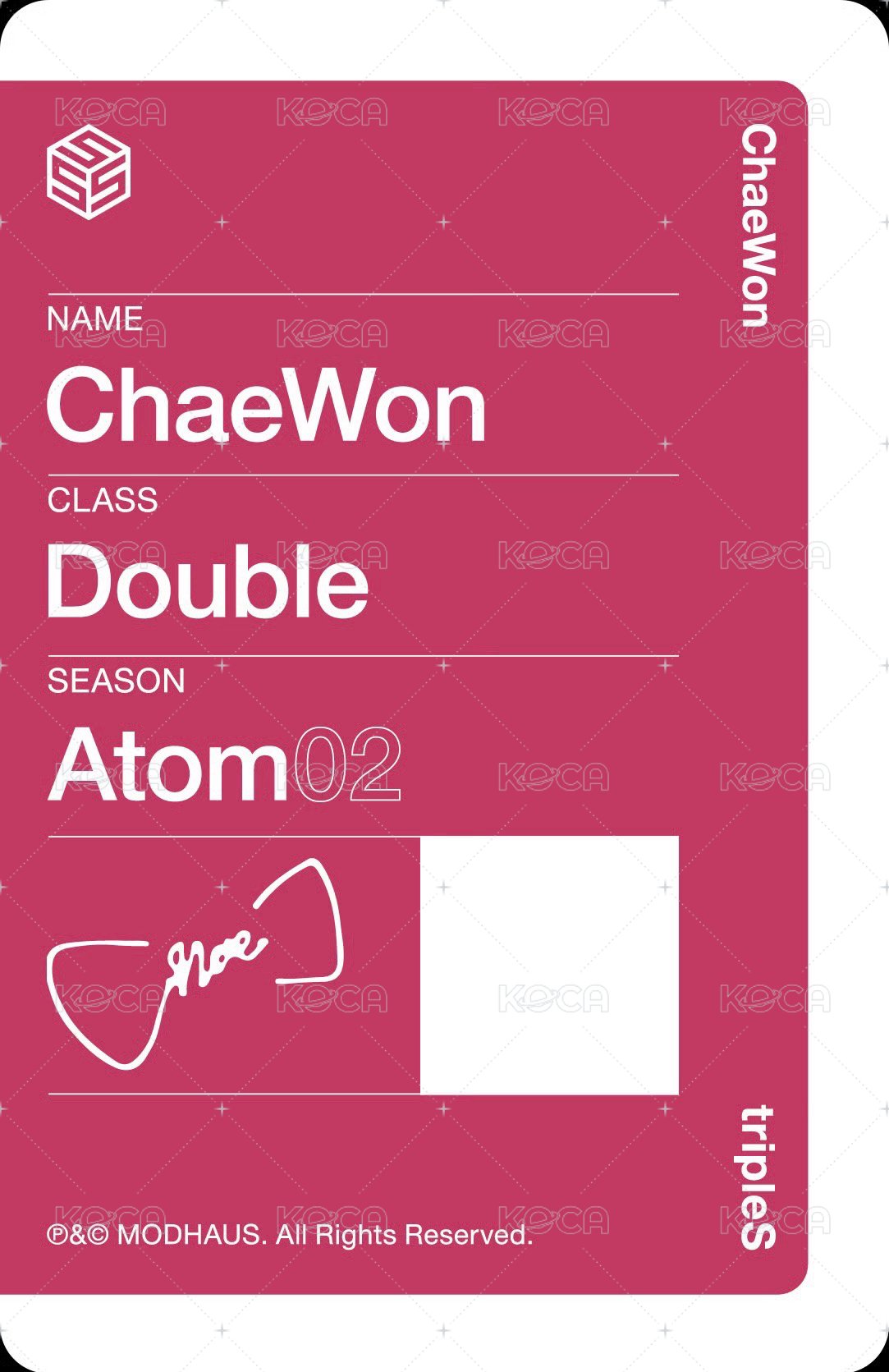 ALIVE25 入場卡 / 場限卡  背面