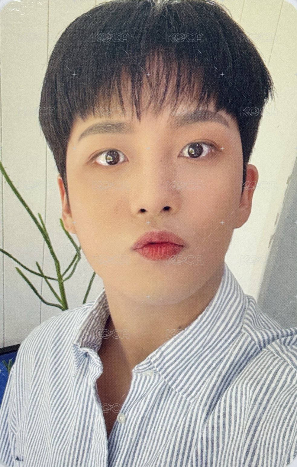 ATINY ROOM 隨機卡  正面