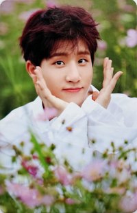 夢二 專輯卡 Wind ver.