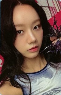 2025 FM 周邊卡 FM 2.0 卡冊卡