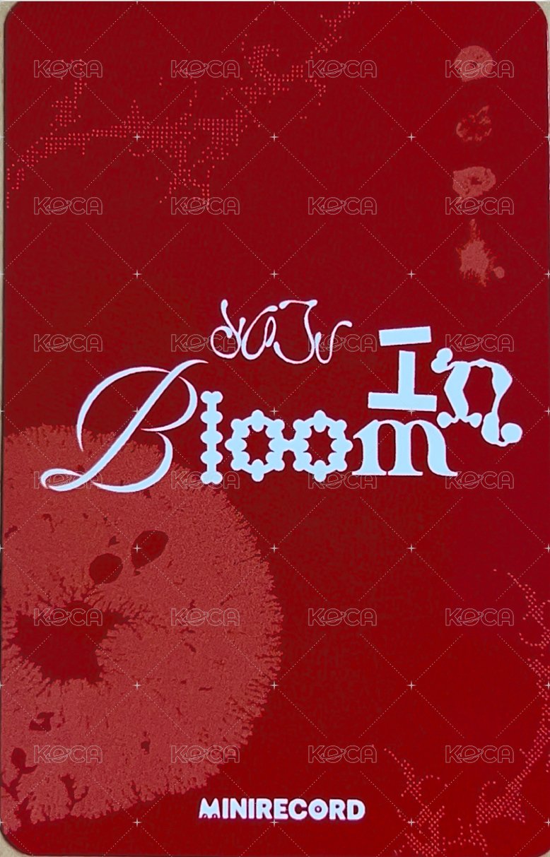 In Bloom MINIRECORD 線上1.0 特典卡  背面