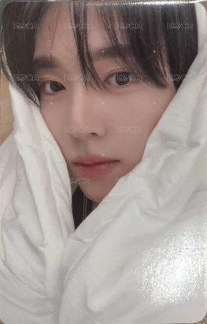 迷五 sr 特典卡 棉被卡ver. 正面