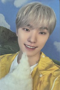 MINI11 wvs carat ver. 特典卡 wvs特典卡 carat ver.