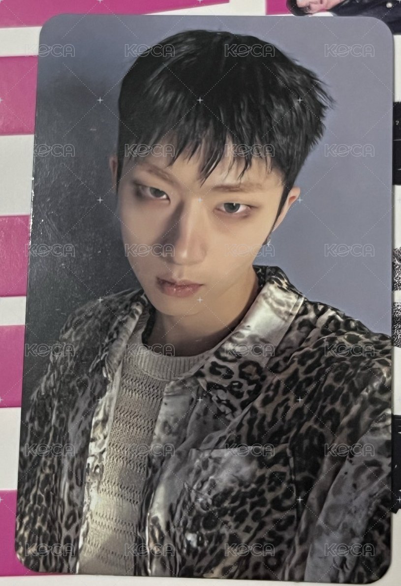 DUH 專輯卡  正面