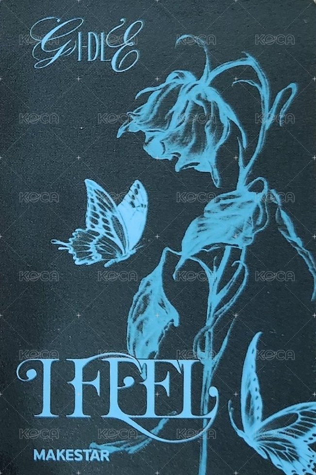 I feel ms 3.0 特典卡 樹莓雙人卡 背面