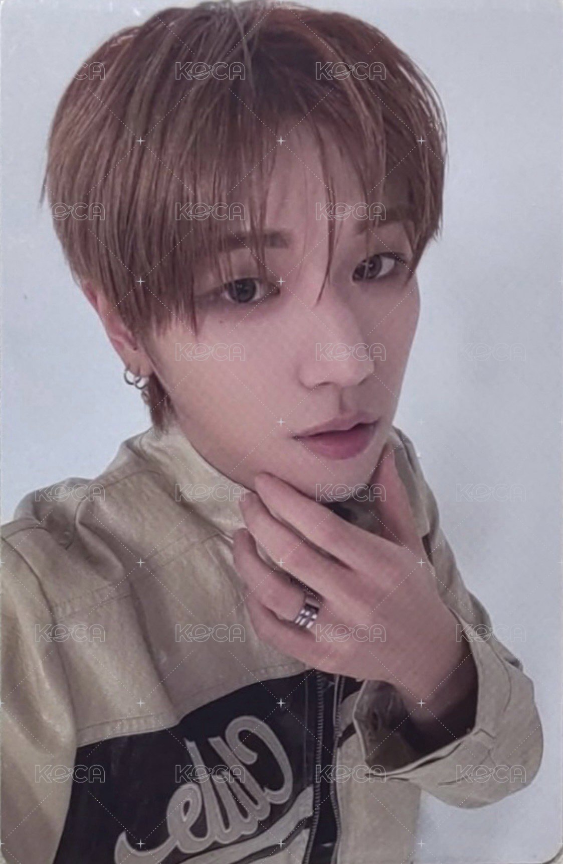 19.99 wvs 單封 特典卡 2 正面