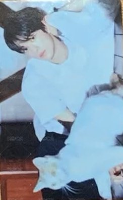 初次見面 隨機卡 卡包卡 正面