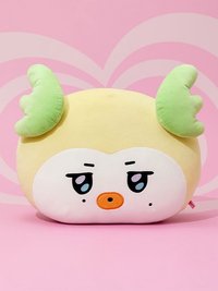 MIGHTEEZ 抱枕 BIG FACE CUSHION