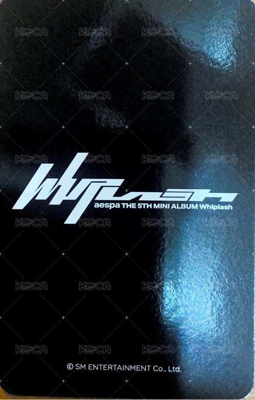 Whiplash ms 特典卡 預售冬 背面