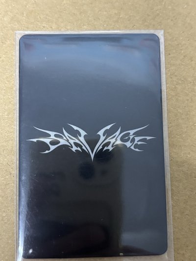 aespa Winter 冬冬 Savage 專輯卡 hallucination quest 故障冬