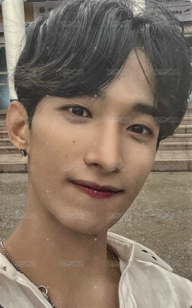 正四後續 日咖 特典卡 正規四後續｜WVSJP CARAT ver. 正面