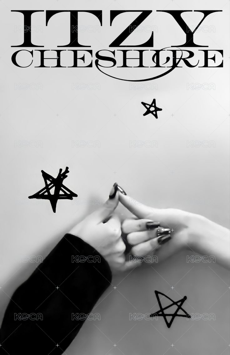 CHESHIRE 專輯卡 雙人卡 背面