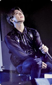 LY Tour 演唱會 DVD / CD 卡 歐洲 藍光版