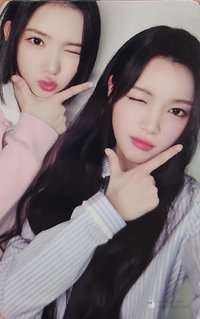 單一 wvs 直播卡 