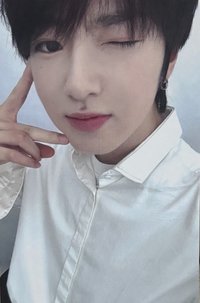 Songbird ma 3.0 簽售卡 