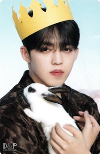 22’D社 周邊卡 22’DICON｜卡冊固卡