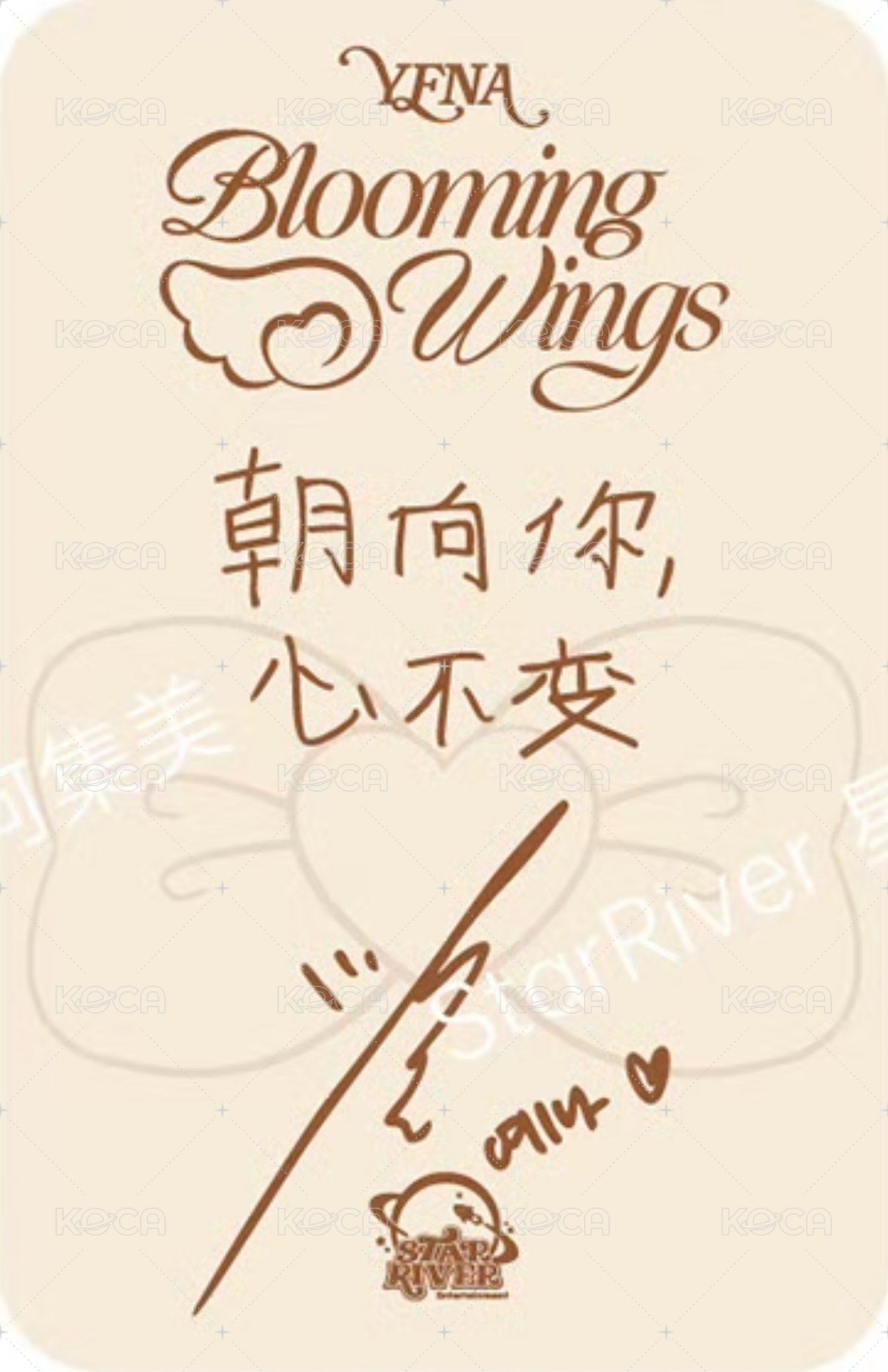 迷四 sr 1.0 幸運卡 小熊 背面