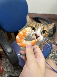 Wei
