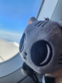 KOKO