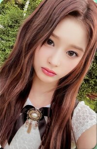 仲夏夜 專輯卡 Nswer ver. 專卡薛