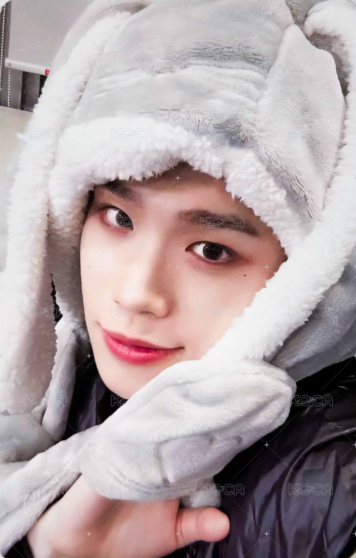 迷二 ms 特典卡 兔毯 ver. 正面