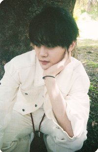 正規一 wm 幸運卡 