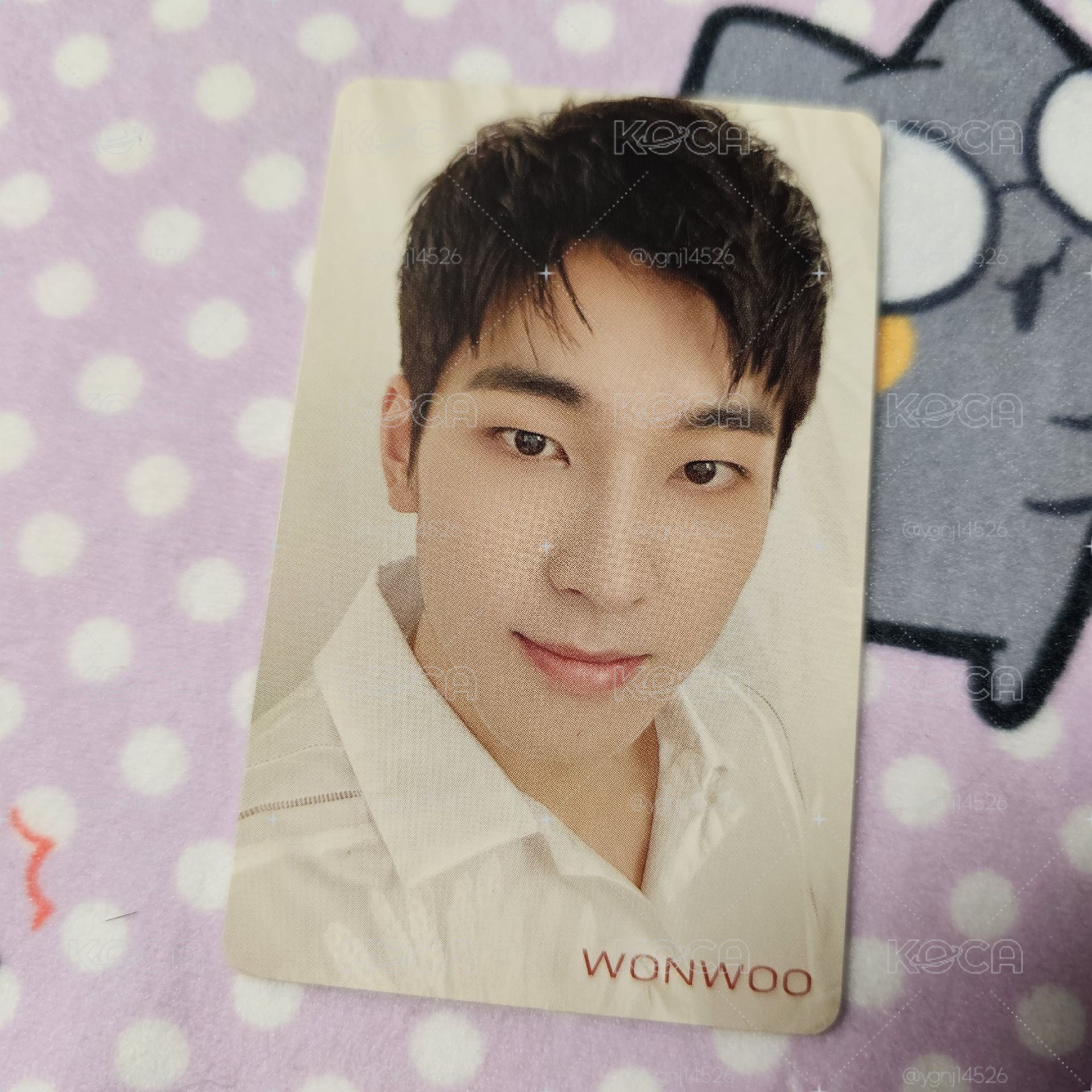 HMV特典 圓佑 24H