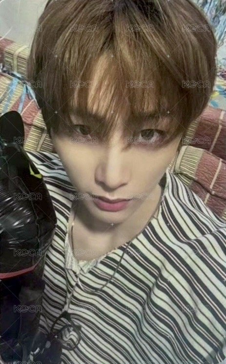 25生日 wvs 周邊卡 小卡組 固配 正面