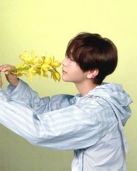 빛