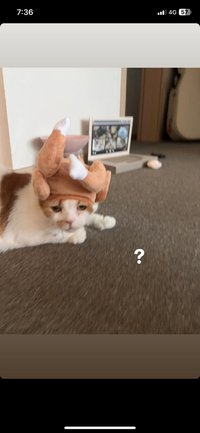 小咖