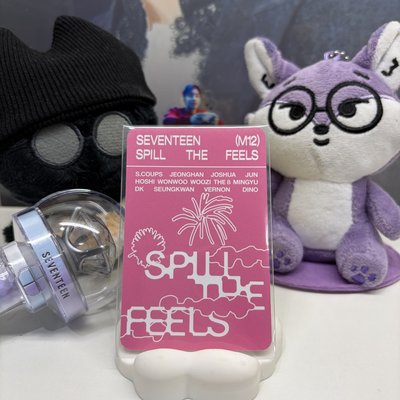 🦦燦DINO｜MINI12｜專輯卡 ｜CARAT ver.