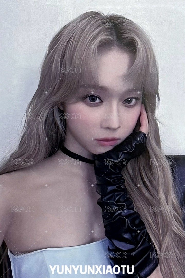 周邊卡 美網手燈冬 美應冬 正面