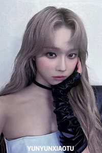 周邊卡 美網手燈冬 美應冬