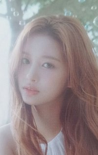 NSWER VACATION 隨機卡 官拍薛