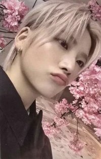 雪明 wvs GL預售 特典卡 