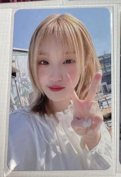 Ms16野餐/貓爪+fate