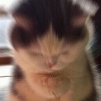 誰的老公掉我這裡了？