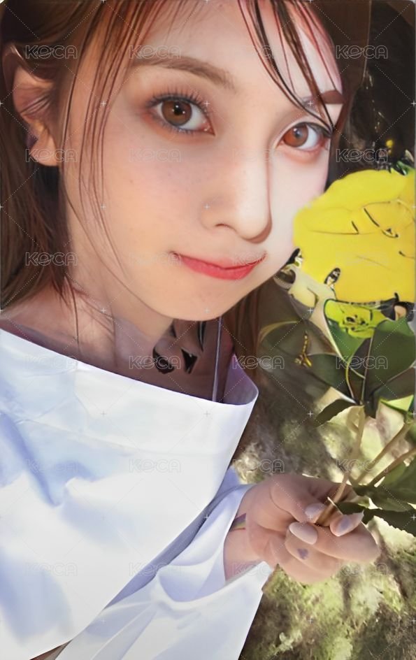 expérgo el 預售 特典卡  正面