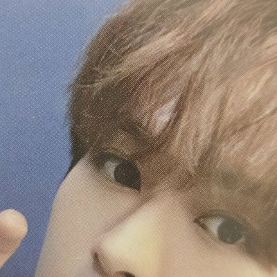 貓爪旻（中背）