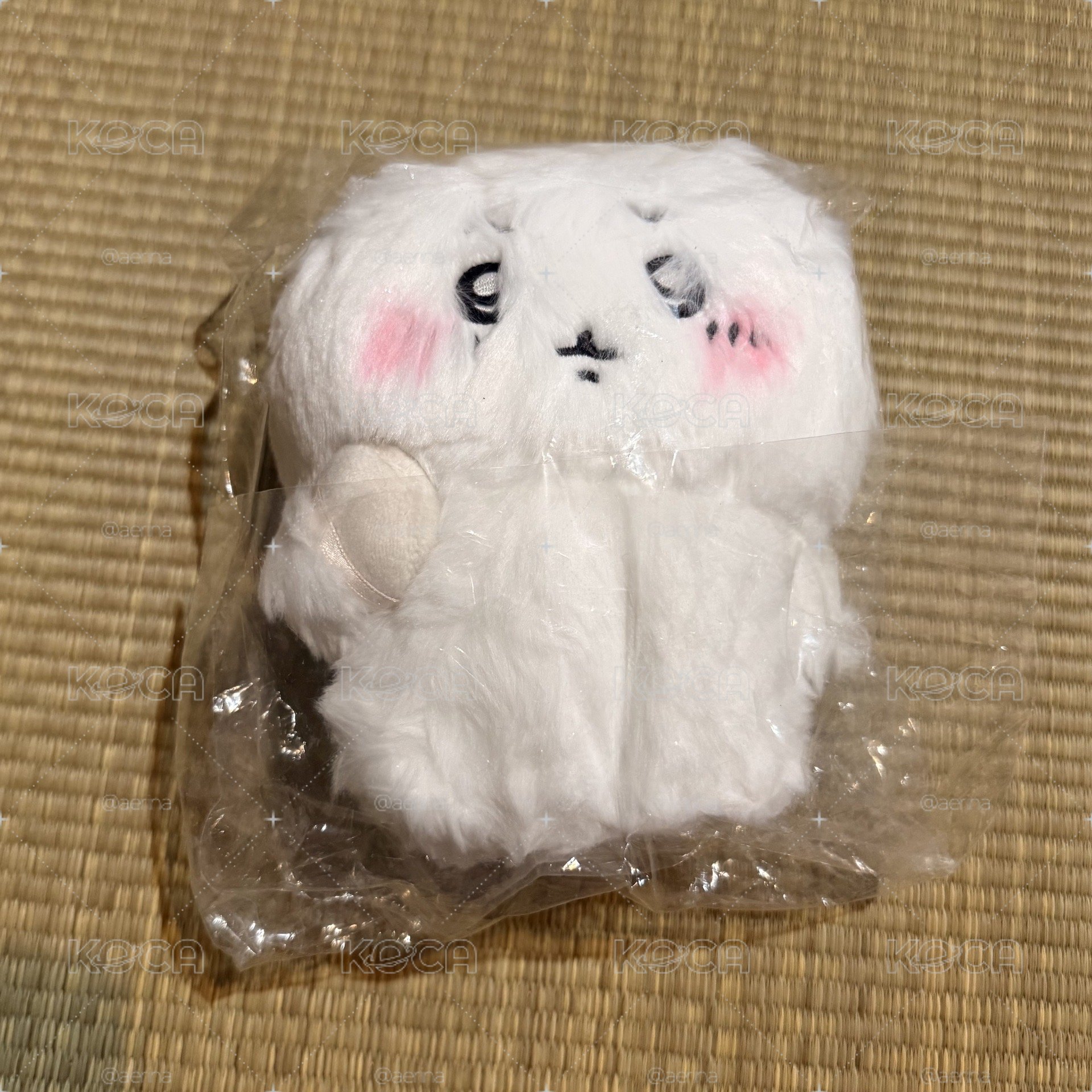 長毛吉伊S娃