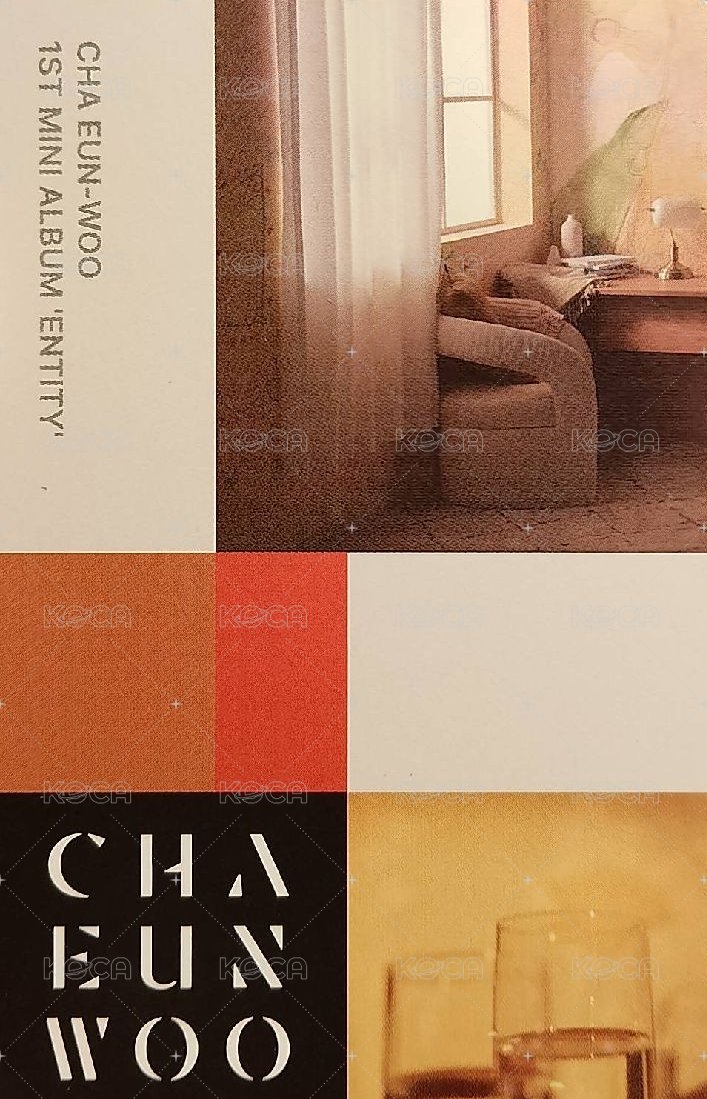 ENTITY 專輯卡  背面