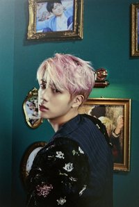 ARMYPEDIA 明信片 WINGS