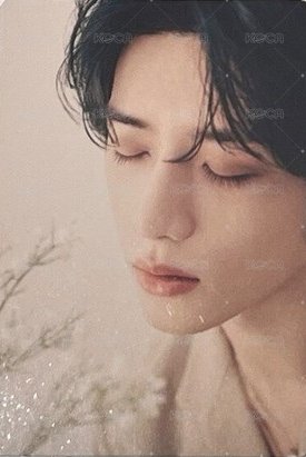 2024 DREAM WEEK 周邊卡 ver.2 正面