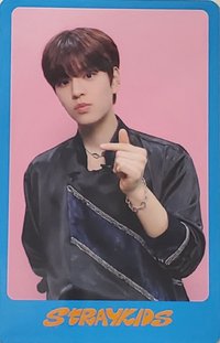 DICON D'FESTA 雜誌卡 