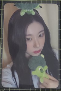 彩領