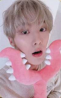 Chameleon ms 4.0 簽售卡 